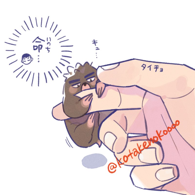 まろ tweet media