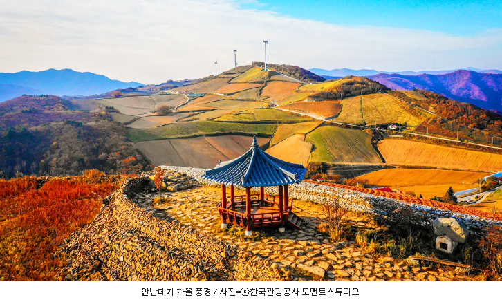 오로라 tweet media