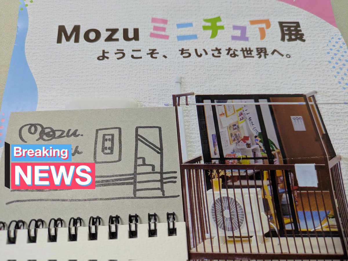 ねこる🍀 tweet media