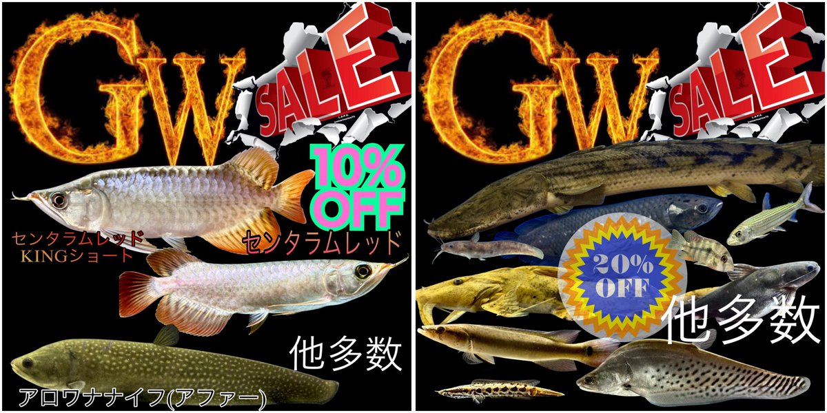 AQUA STYLE G 🆕 tweet media