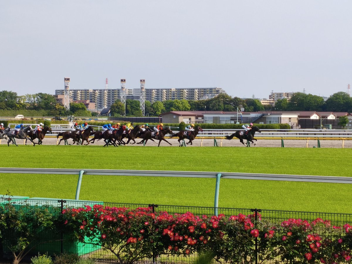Hanzow_T's tweet photo. 今日は年1恒例の競馬ピクニック🐎
卒業以来の同窓生とも会えて楽しかったー🍻 https://t.co/aYGWAaF3oq