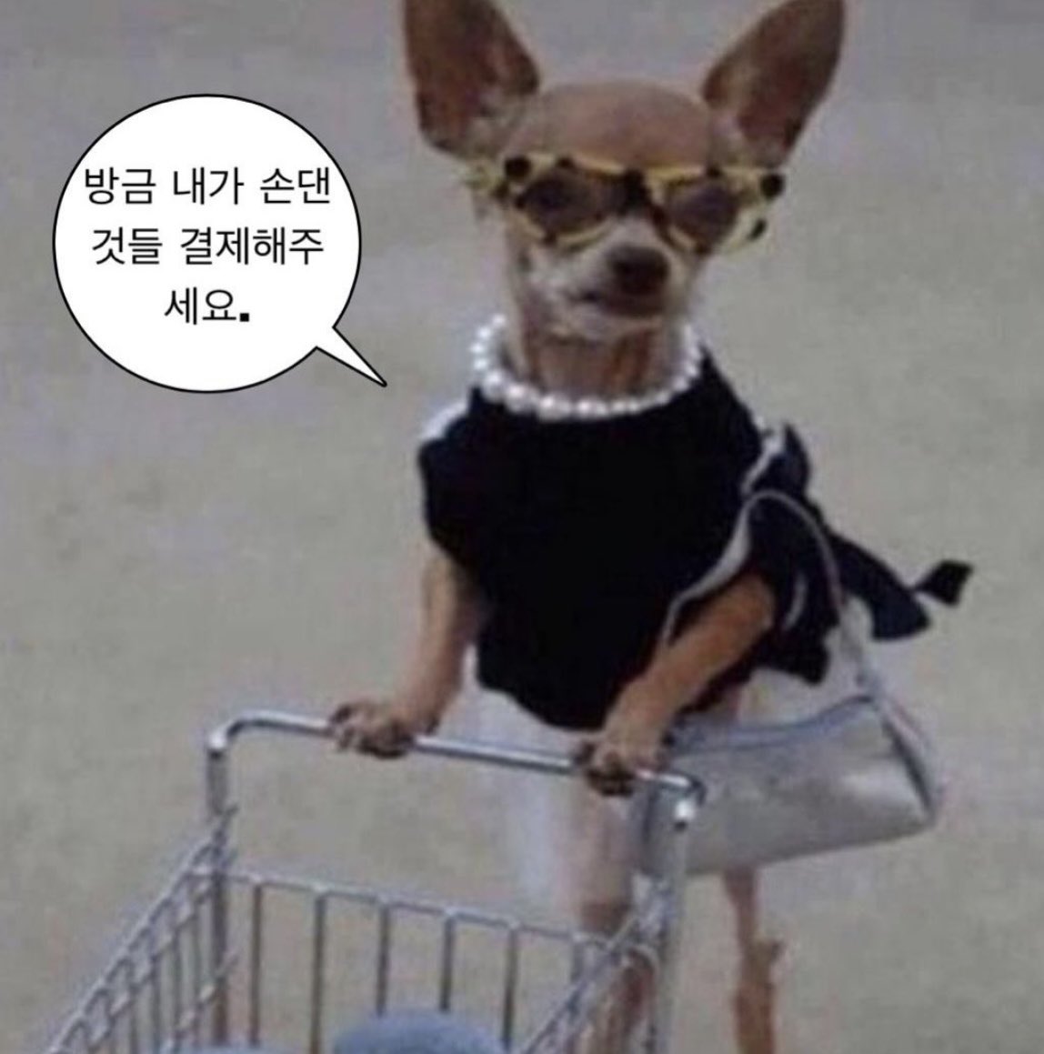 꽁주 tweet media