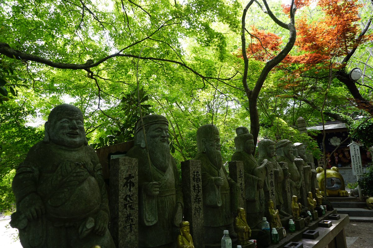 Tomo_Mrk3B01's tweet image. The main hall of Nyoirin-ji temple, Seven gods of fortune, and fog statues covered with moss which just look like real ones😉
#如意輪寺 #twinglish #walking #散歩 #temple