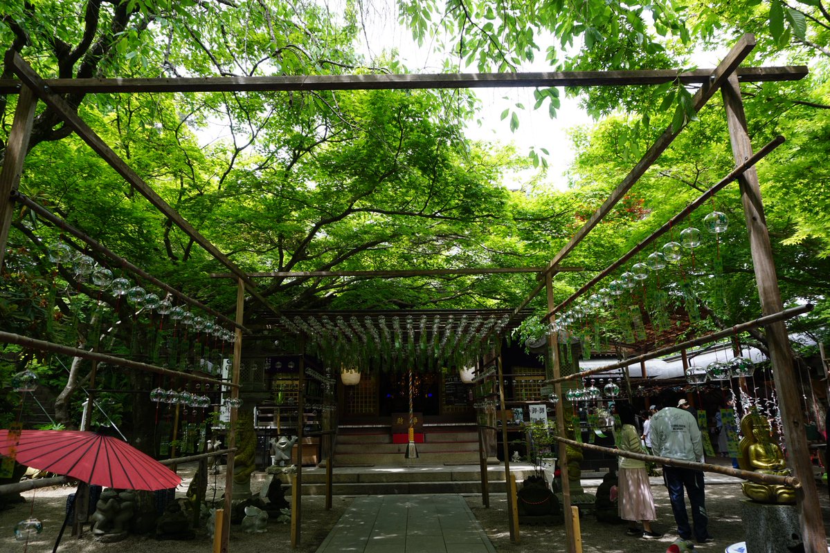 Tomo_Mrk3B01's tweet image. The main hall of Nyoirin-ji temple, Seven gods of fortune, and fog statues covered with moss which just look like real ones😉
#如意輪寺 #twinglish #walking #散歩 #temple