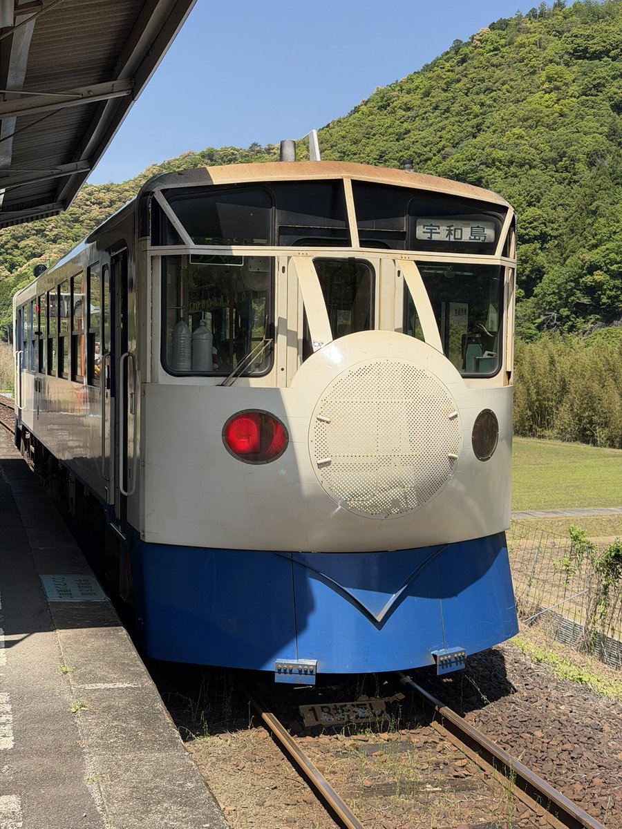 カノン🎊ユア パパ tweet media