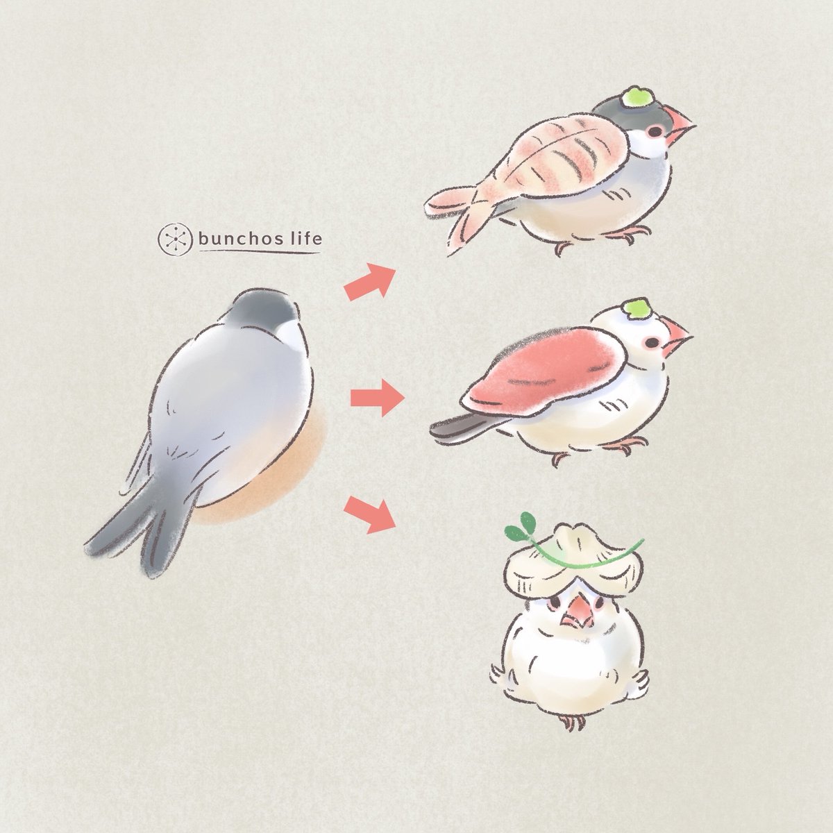 こむぎ🕊️ tweet media