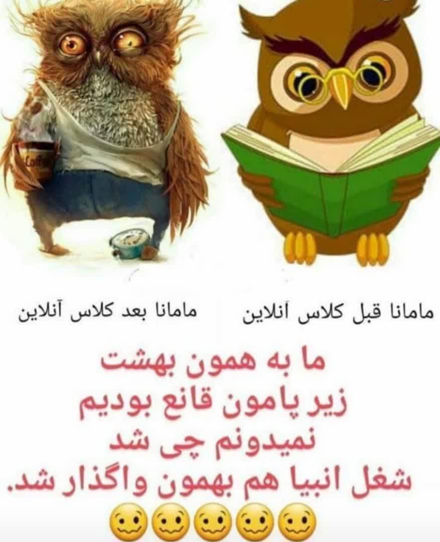 haniye tweet media