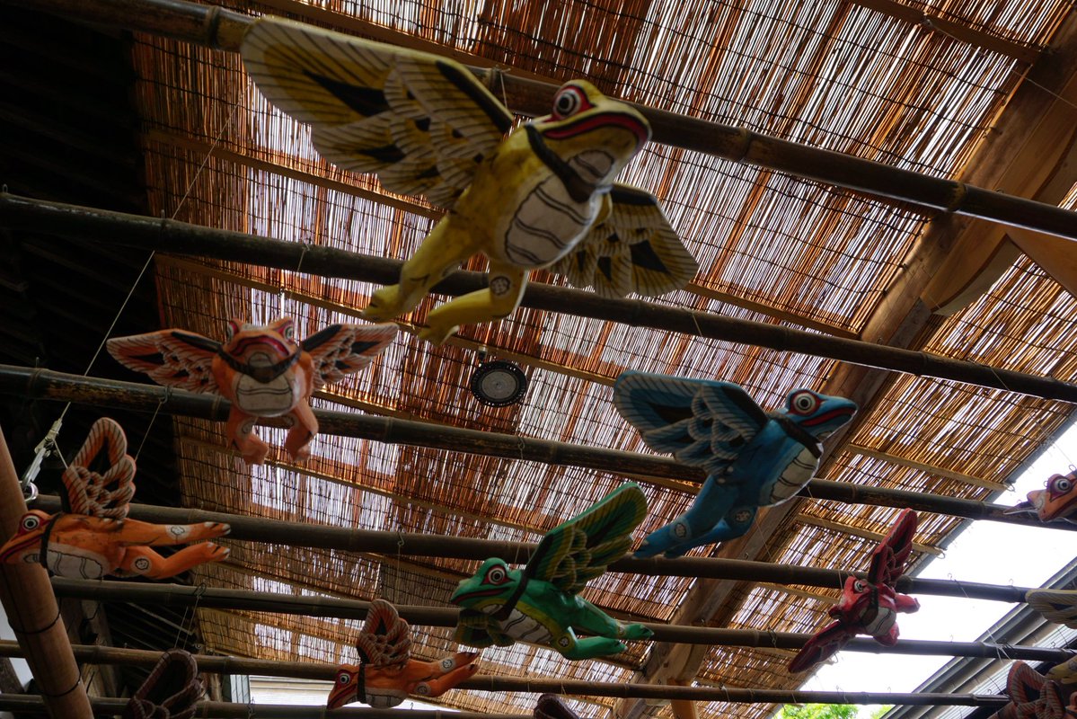 Tomo_Mrk3B01's tweet image. Flying frogs😂
#twinglish #walking #散歩 #如意輪寺 #temple