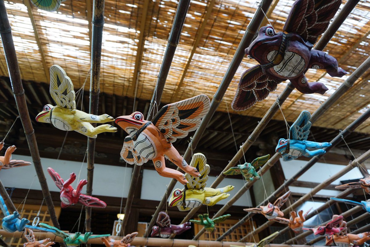 Tomo_Mrk3B01's tweet image. Flying frogs😂
#twinglish #walking #散歩 #如意輪寺 #temple