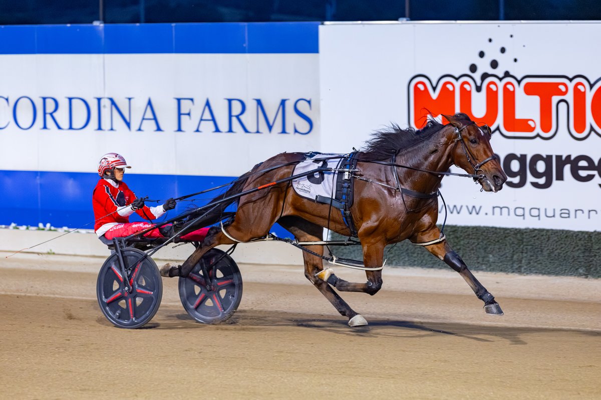 ClubMenangle's tweet photo. Soho Gunslinger opens Coutts Pacing For Pink Race Night in ultra-impressive fashion as he records a mile of 1.48.9.🔥🩷

In the Coutts Lawyers &amp; Conveyancers Pace, the four-year-old gelding trained by @alchin_rickie  and driven by @ashleighdelosa was victorious by 11.8 metres.🥇 https://t.co/AJBhTWh8Y9