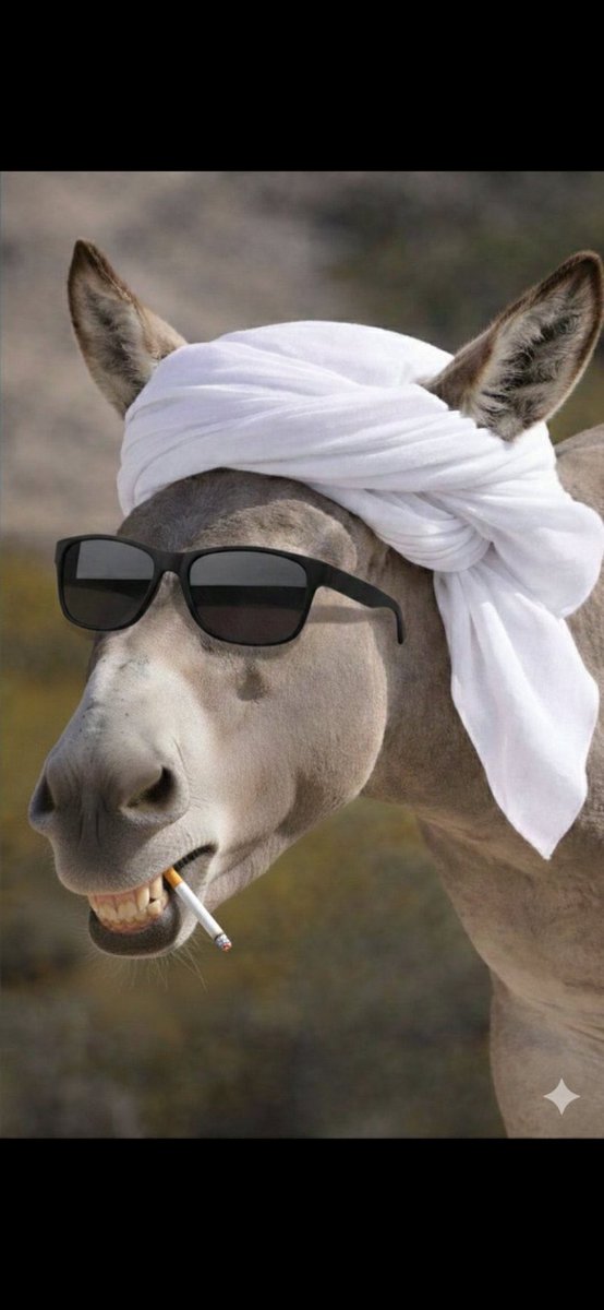 مشاري سابقاً 🇸🇦 tweet media