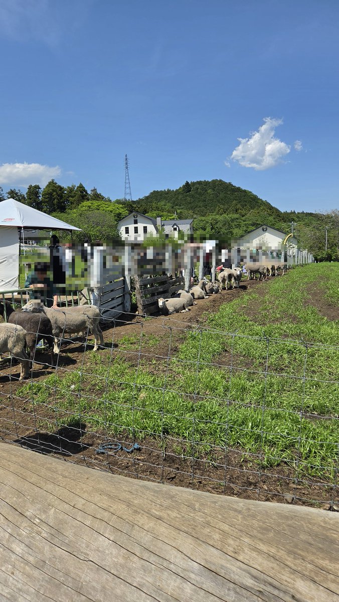 kuls_knowledge's tweet photo. 春の晴れ間に山や牧場をブラブラと。 https://t.co/BPCgMsIWKZ