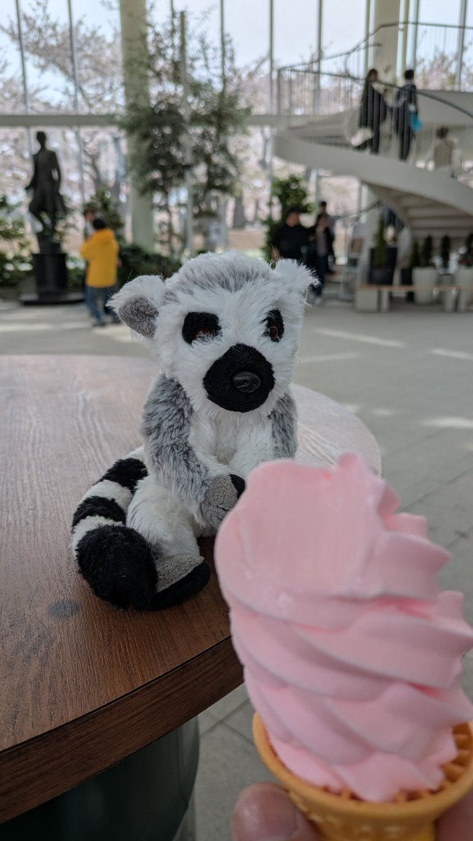 kenmei930's tweet photo. 忘れてた27日の五稜郭公園曇りだったので印象も薄かったのか載せるの忘れてましたわ。前回撮れてる事もあって一番の目的でもなかった。
 #五稜郭公園
 #五稜郭タワー
 #桜
 #桜まつり
 #函館市 https://t.co/4NudydMD1P