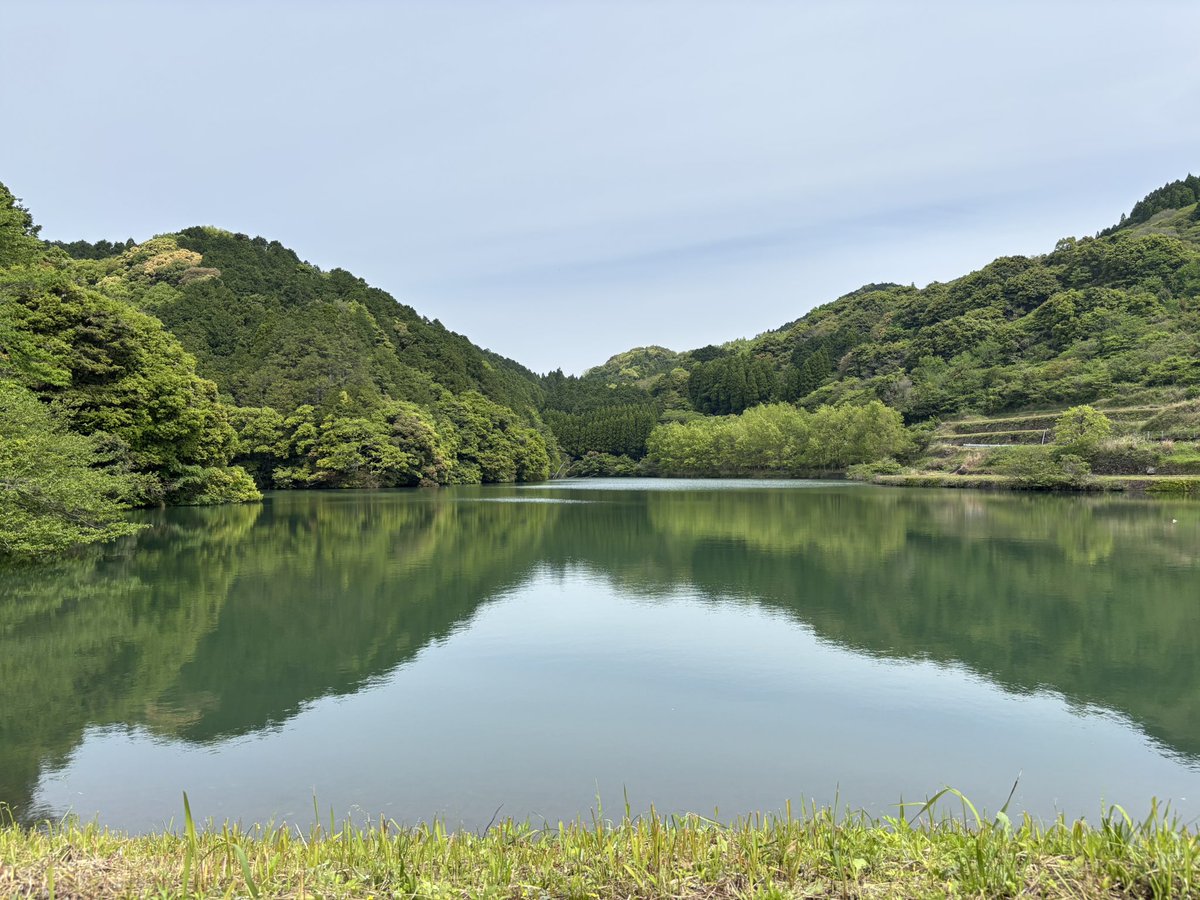 びっくりするくらい別嬪の溜池でテンション上がった。このロンTも