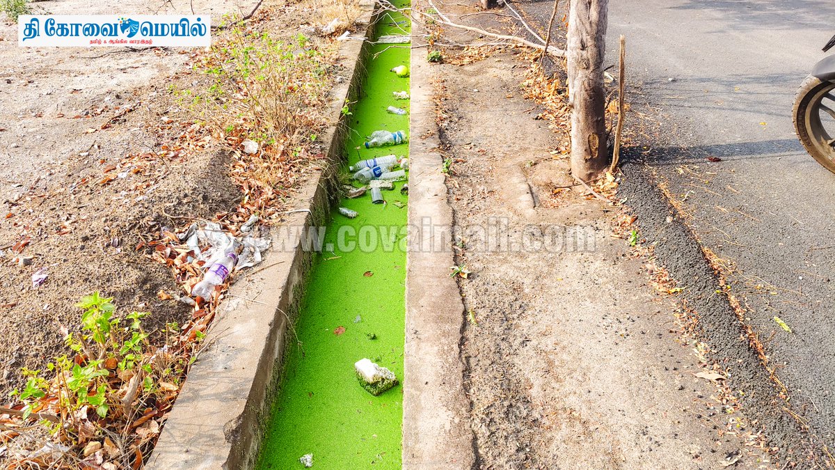 CovaiMail's tweet image. கோவை சரவணம்பட்டி – துடியலூர் சாலையில், மான்செஸ்டர் பள்ளியை நோக்கி செல்லக்கூடிய சாலை  அருகில் குப்பைகள் முறையாக அகற்றப்படாமல் சாலை முழுவதும் சிதறிக் கிடக்கின்றன. சுத்தமான சூழலை ஏற்படுத்துமாறு அப்பகுதி மக்கள் கோரிக்கை வைத்துள்ளனர்.
#TheCovaiMail #covai #garbage #Corporation