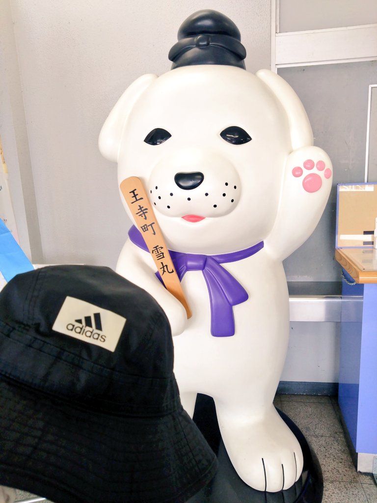 earl_4467's tweet photo. 王寺町なう
雪丸かわいい https://t.co/vaM51vA1n7