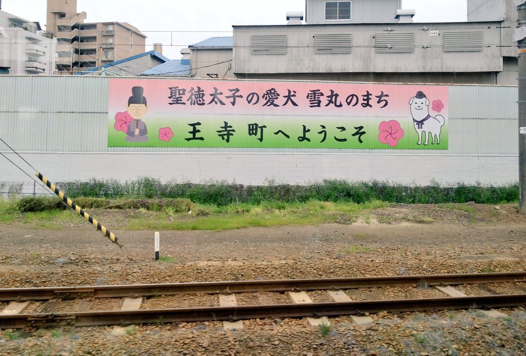 earl_4467's tweet photo. 王寺町なう
雪丸かわいい https://t.co/vaM51vA1n7