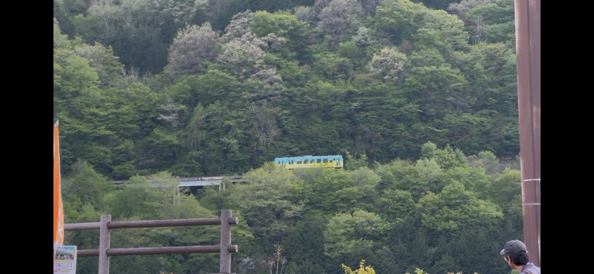 まっつん@TEAM47 SC82 tweet media
