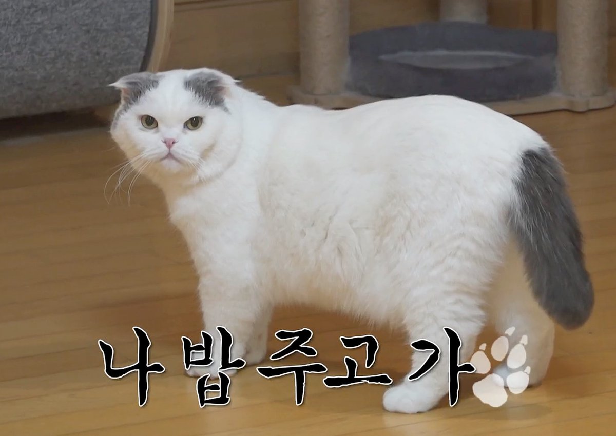 세젤귀 실존 아 너무귀여워 ㅠ