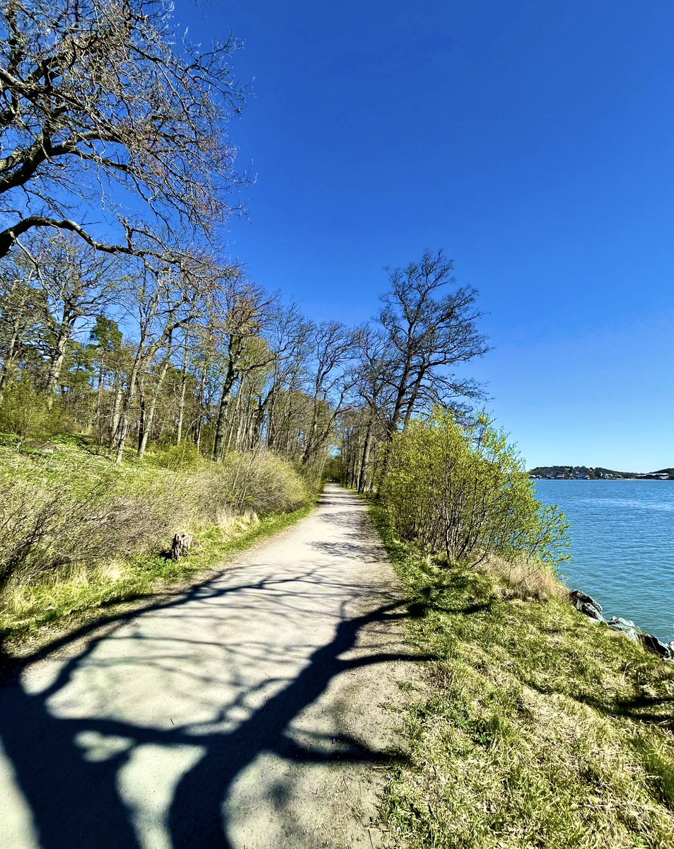 satunurmella's tweet image. Shadows of #Saturday Street

02.05.26 Ruissalo #Finland