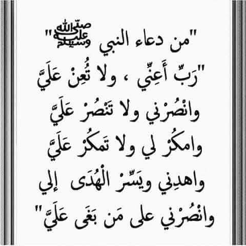 🌼مُـــــنَى 🌼 tweet media