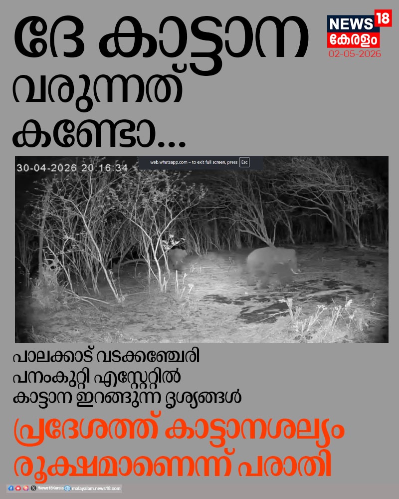 News18Kerala's tweet image. പാലക്കാട് വടക്കഞ്ചേരി പനംകുറ്റി എസ്റ്റേറ്റിൽ കാട്ടാന ഇറങ്ങുന്ന ദൃശ്യങ്ങൾ

#palakkad #vadakkanchery #elephant #wildlife #news18kerala

കൂടുതൽ വാർത്തകൾ അറിയാൻ
youtube.com/live/7Y-MMzEcj…