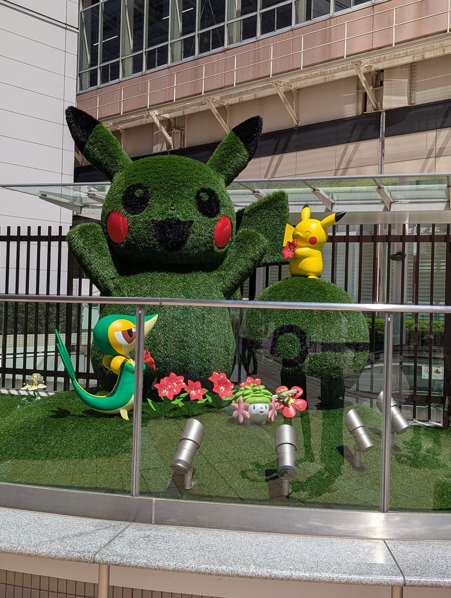 シャムコロン tweet media