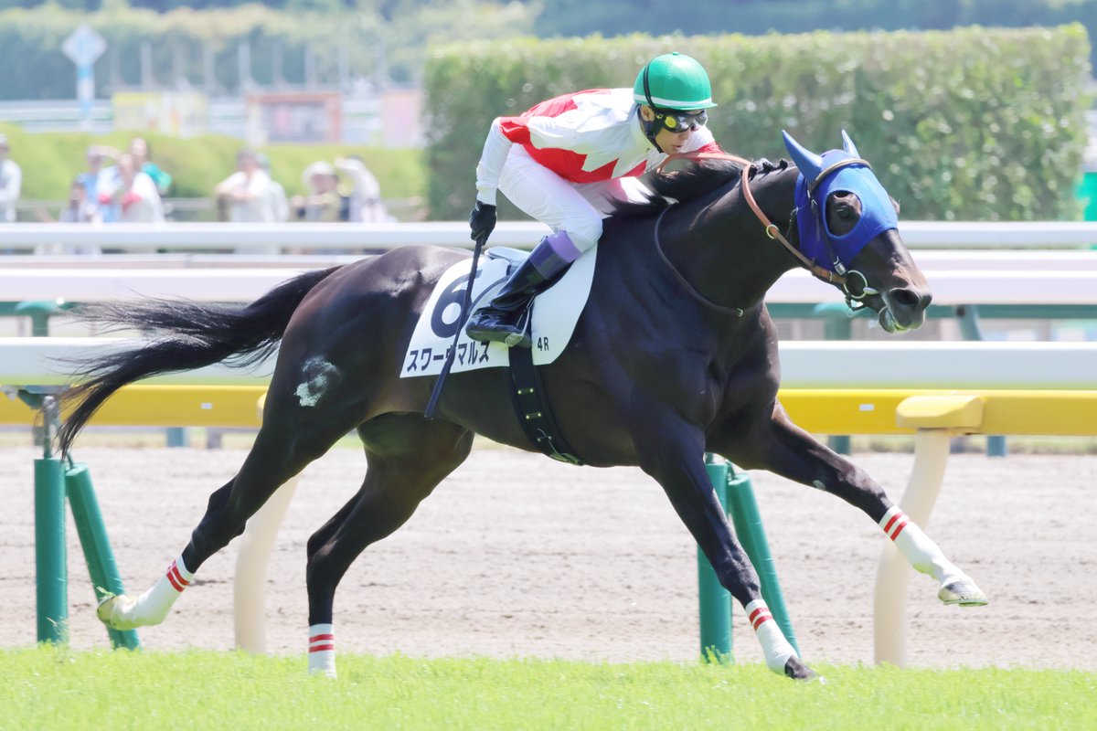 taito5's tweet photo. 久々に府中行ってきました

東京4R 3歳未勝利
#スワーヴマルス #武豊 https://t.co/ZxrSo7tRlt