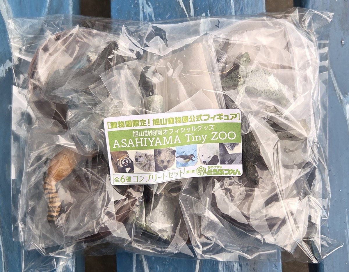限定ガチャもゲットしてきました✨ バンダイと旭山動物園のコラボ