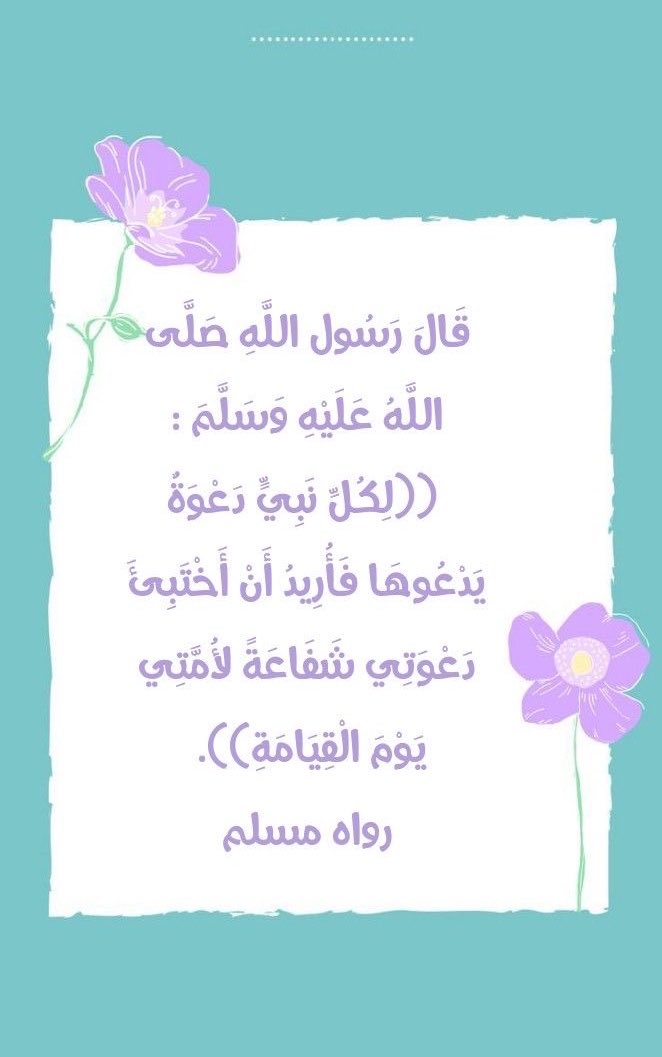نوال البشري 🇸🇦🌴 tweet media