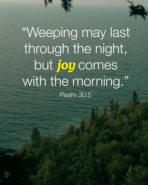 Jesus_Savior's tweet image. Are you desperate for joy? Joy is possible through the love of God. To meet God personally, visit hopewithGod.com/hope to learn what it means to receive His love! #faith #hope #love #Jesus