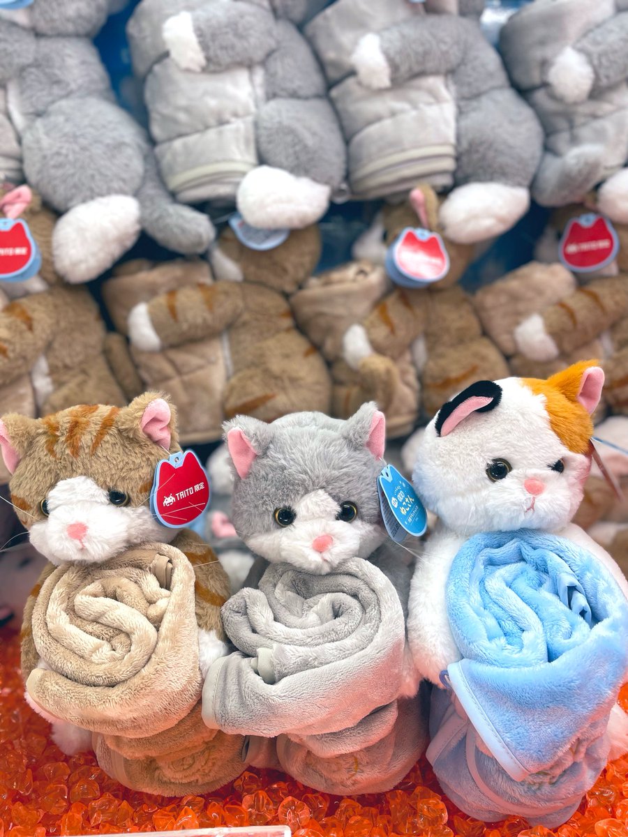 タイトー限定 プライズ ブランケット付 ぬいぐるみ いっしょにお昼寝 6種セット プライズ】新景品🐰いっしょにお昼寝うさぎさん 冷感ブランケット付き