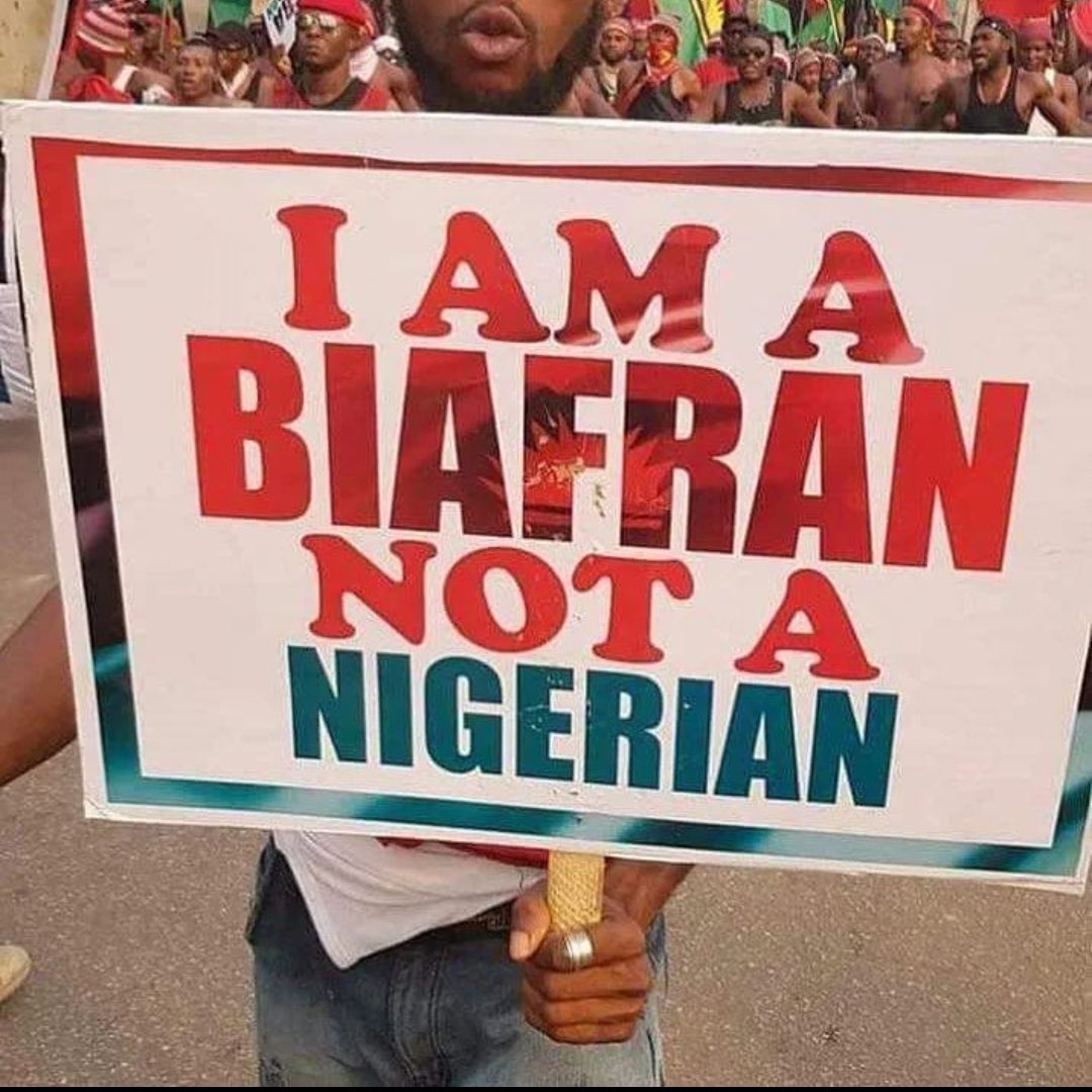 IPOB unit4 Madrid, SPAIN tweet media