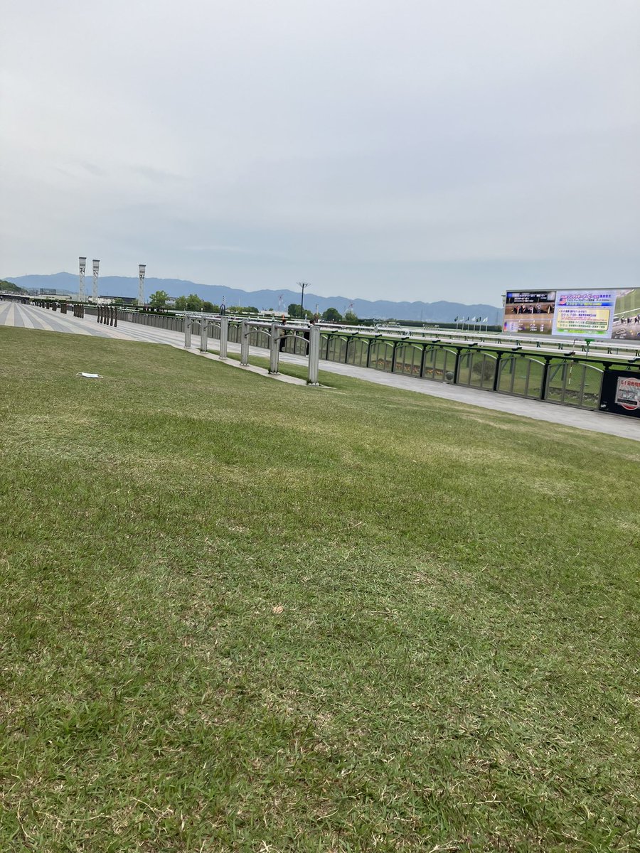 たぴ tweet media