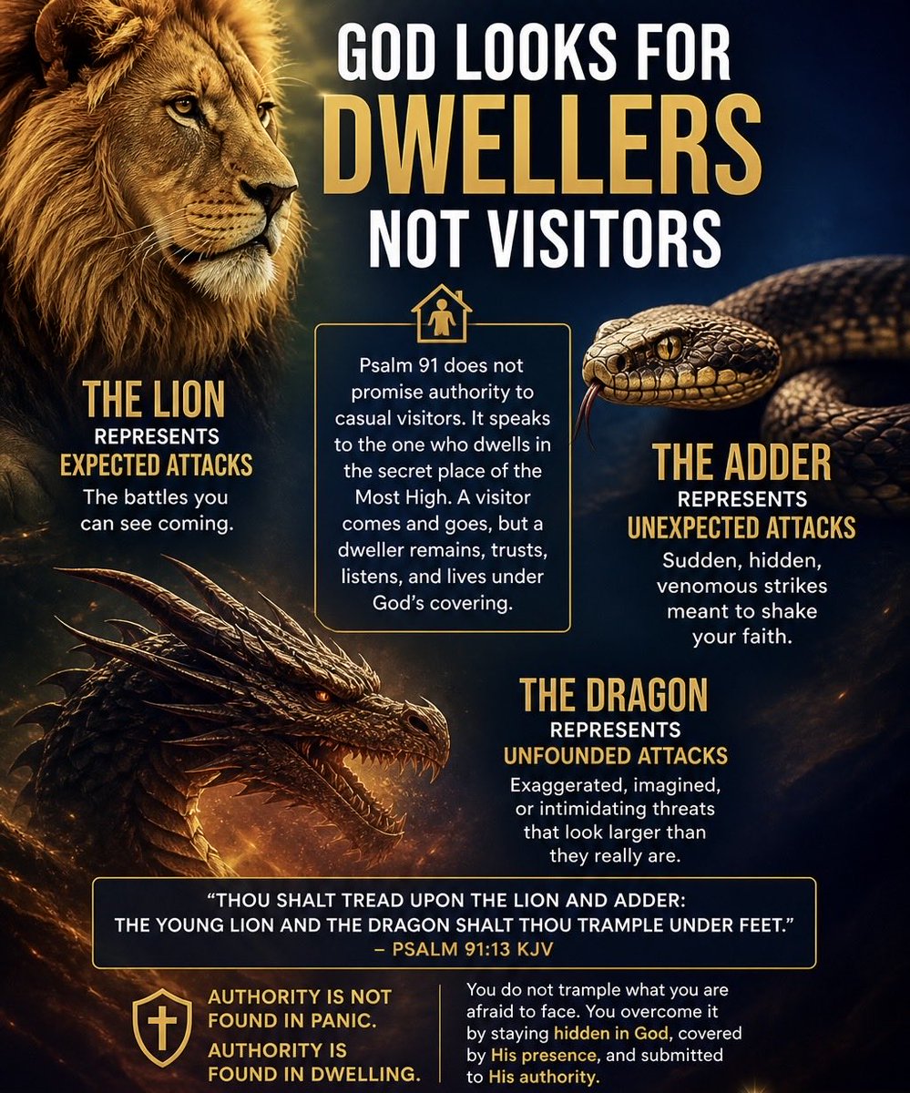 stephk707's tweet photo. @Jentezen Pastor this book is changing and reshaping my life thank you sooo much my favorite chapter is 7 my God The Lion The Adder and The dragon and that Good is looking for dwellers not just visitors, I placed in ChatGPT this is the visual  … thought I’d share 💫 https://t.co/Xf42hNEF5y