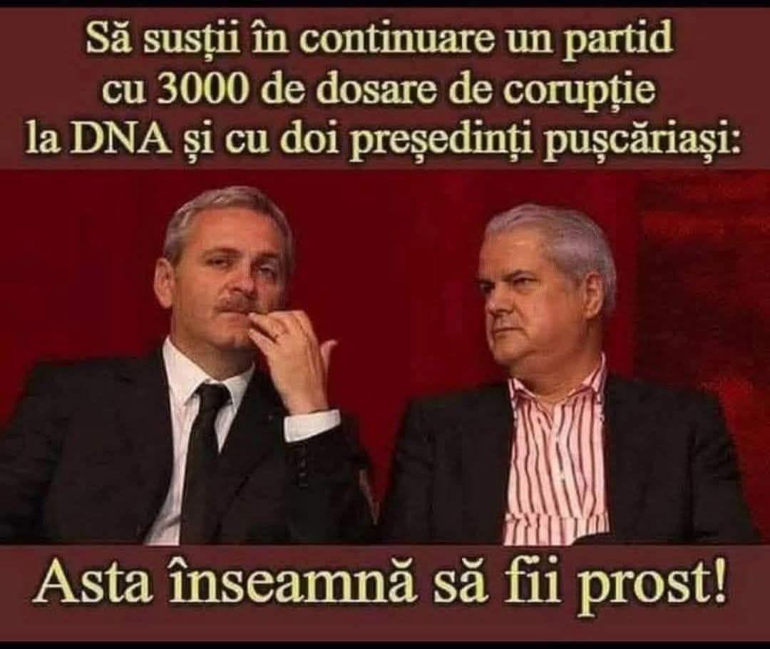 Mihail Feciorescu tweet media