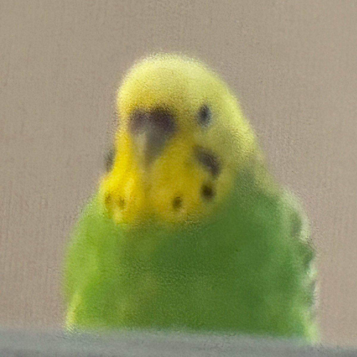 人間とは愚かなものです、特にお前
の顔してる