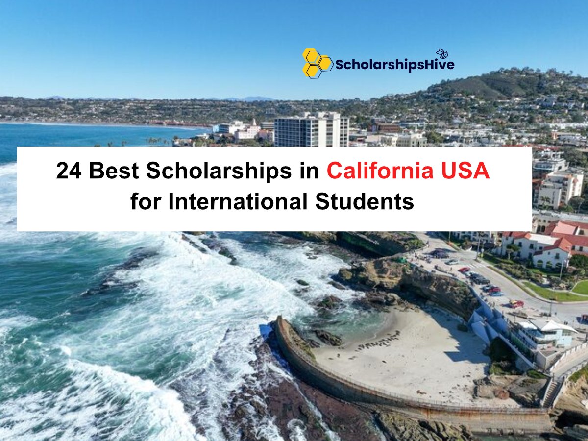 iJiyaAleem's tweet image. California is expensive, but your degree doesn't have to be. 📉🇺🇸
 scholarshipshive.com/24-best-schola…
#Scholarships #StudyInUSA #California #ScholarshipsHive