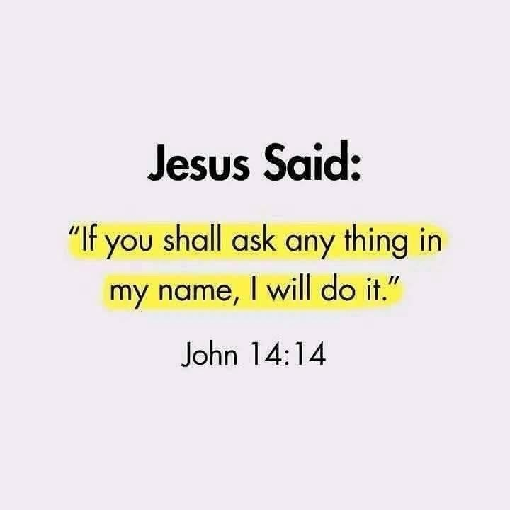 Dear Lord tweet media
