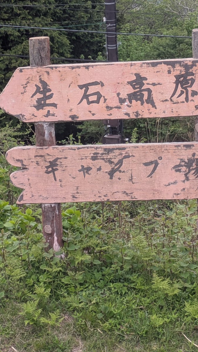 豆太 tweet media