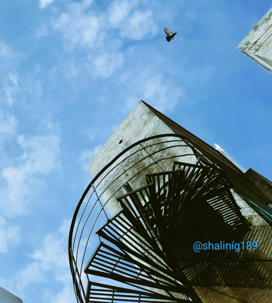 shalinig189_g's tweet image. Let it all go...
See what Stays 🕊💙 ✨️

#StaircaseSaturday