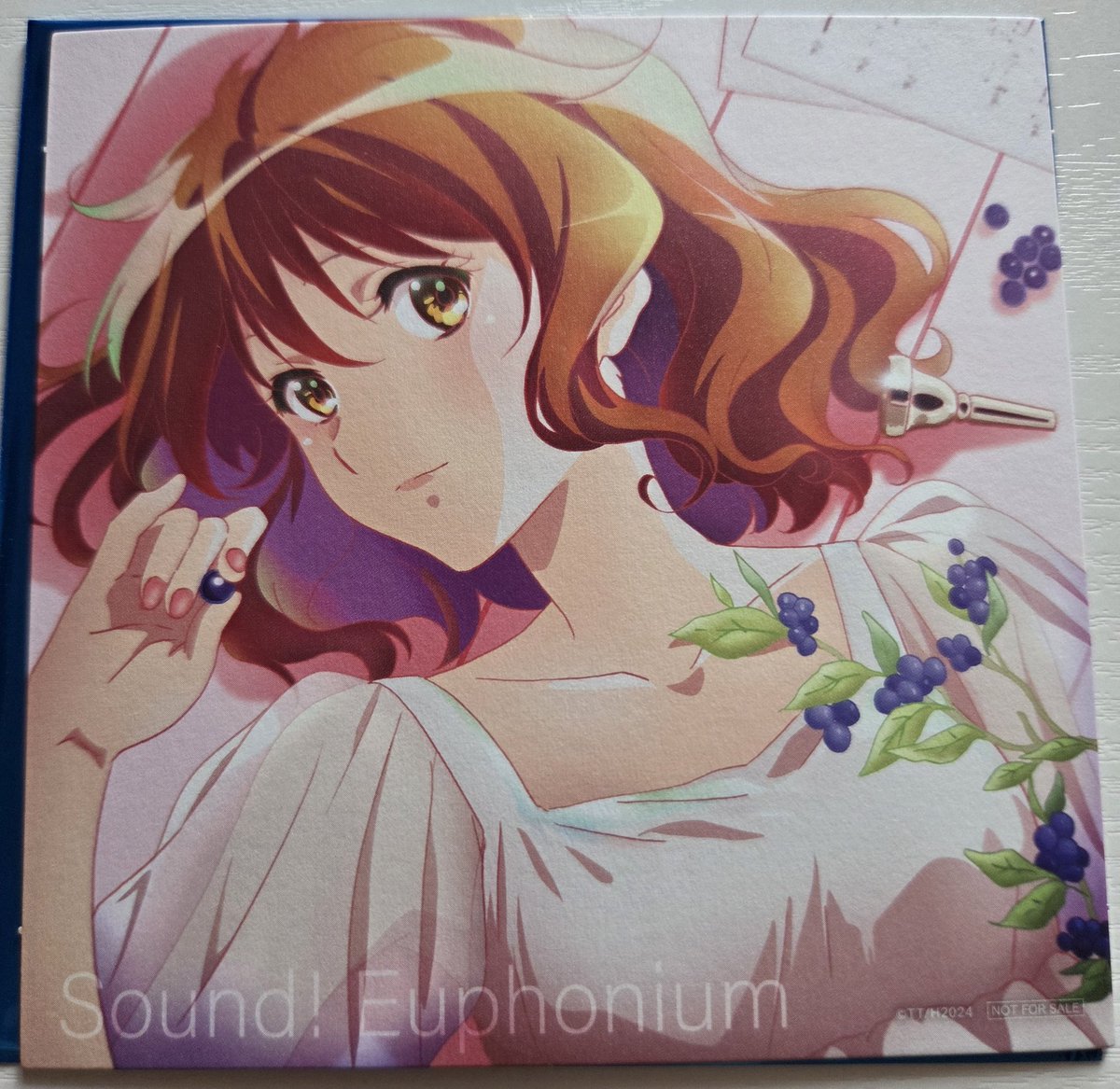 新品ケース交換済　響け♪ユーフォニアム【1期+2期+劇場+特別編+リズ】全19巻 未使用品ユーフォニアム入場者特典 黄前久美子スタンドビジュアル