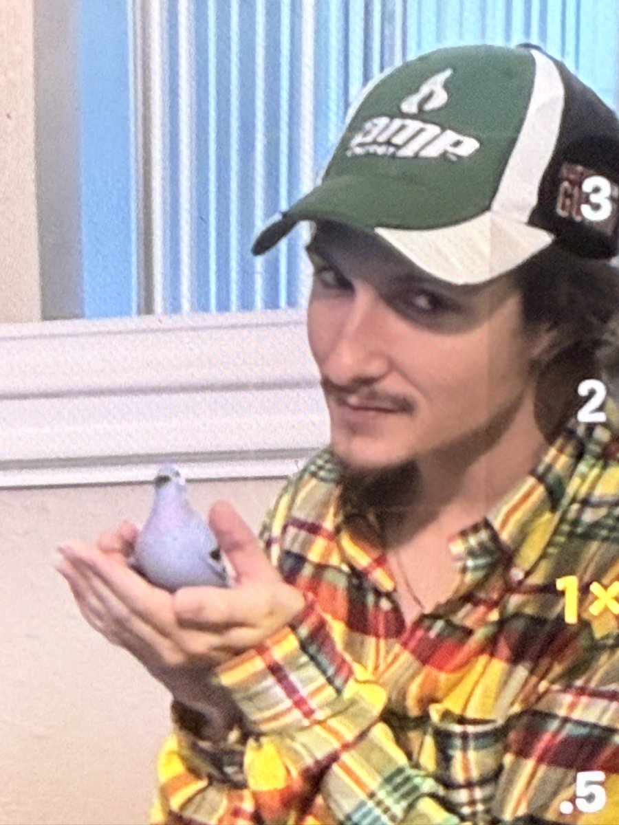 Andrew tweet media