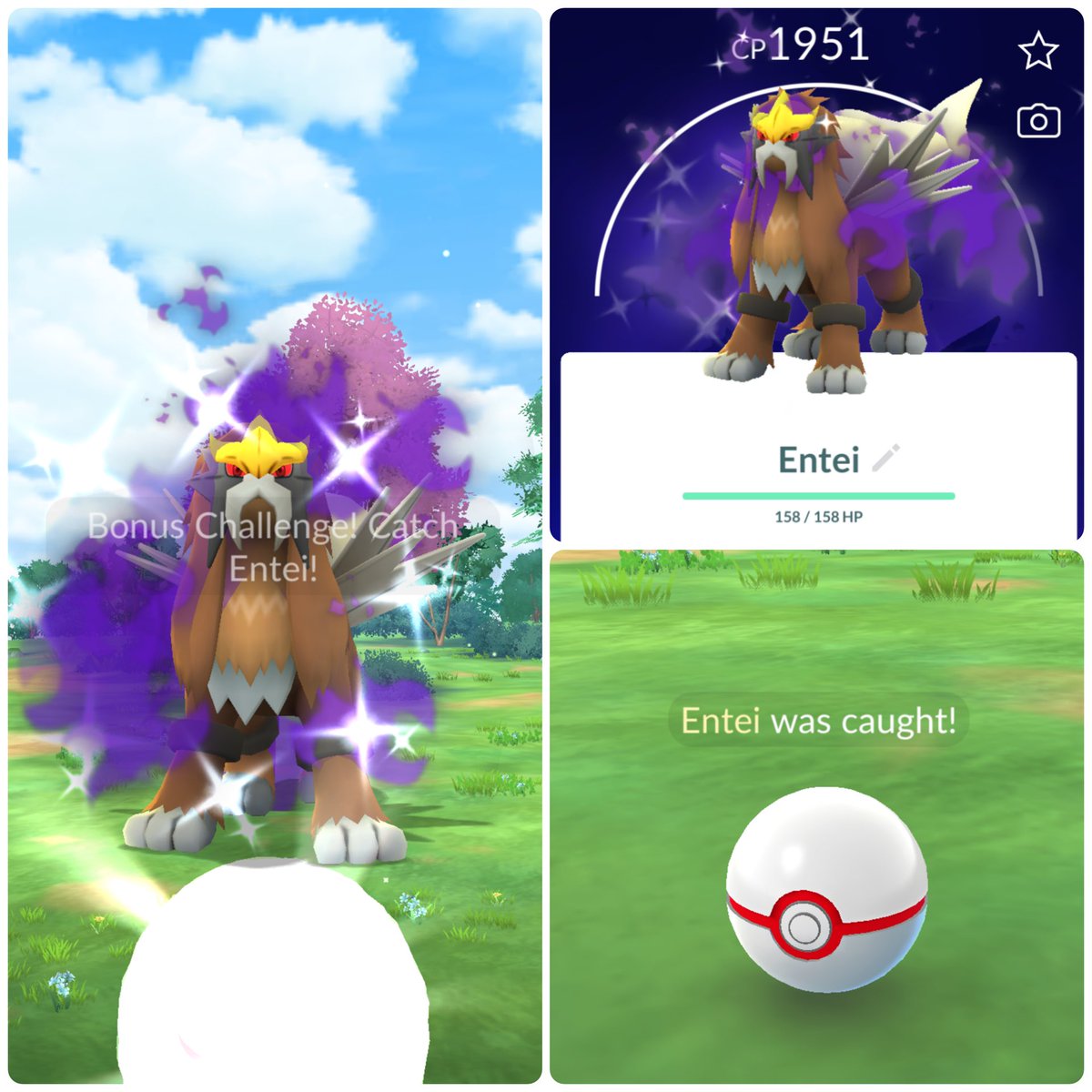 blastoise_joe's tweet photo. Shiny shadow Entei from my very first raid! 🤩 #PokemonGO #PokemonGOApp https://t.co/xXCPgcws7i