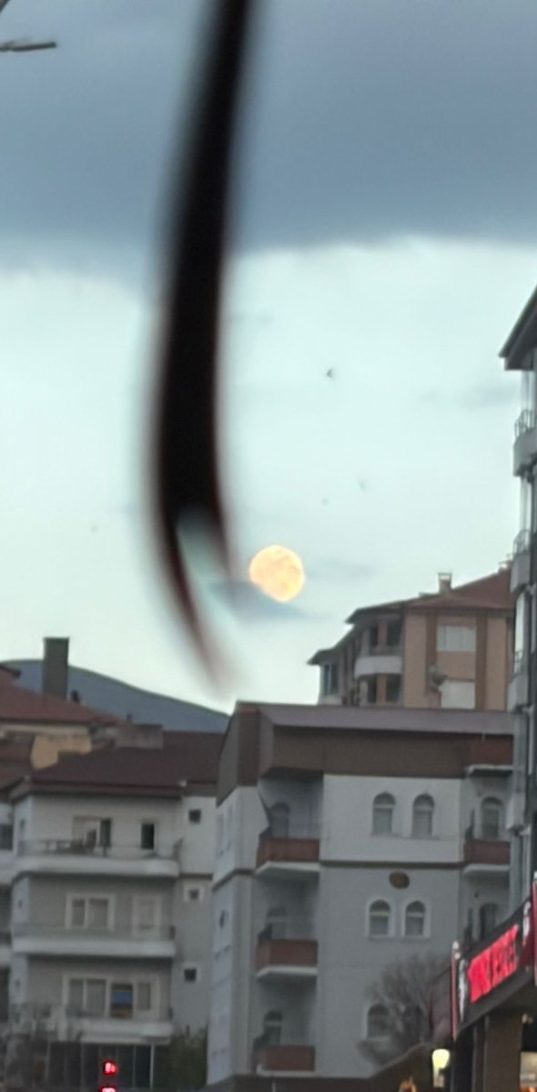 Kortikoglu23's tweet image. Gökten gelenler…💫🔭

Gökten Gelecekler…🗡️

#GerçeğinDemine #Aşkile #Hu ♥️🌹