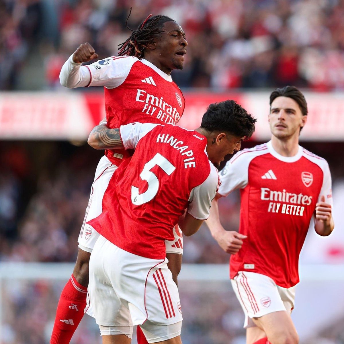 DailyAFC tweet media