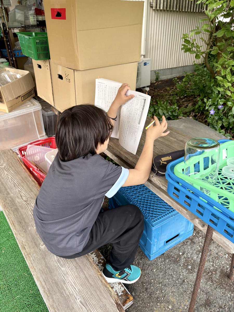 かんたまるTV tweet media