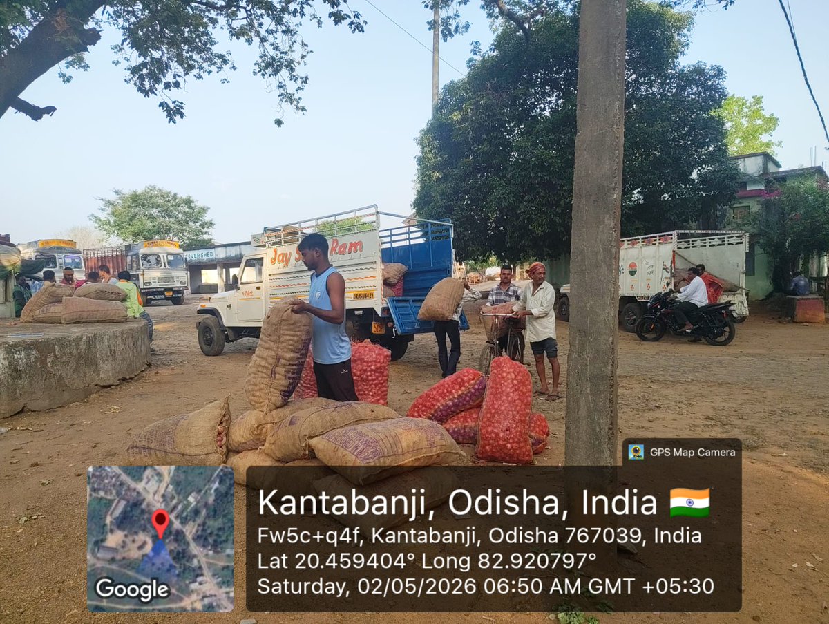 OsamBoard's tweet photo. Onion Open Auction | RMC Kantabanji | 02.05.2026
👨‍🌾 9 Farmers | 📦 100.5 Qtls | 💰 ₹1,01,050/-
Price: ₹950–₹1,100/Qtl | 2 Traders | Cash Spot Payment ✅
Transparent price discovery ensuring fair returns for farmers under the OSAM Board &amp; RMC framework. 🙏
#OSAM #Odisha #Farmer https://t.co/Tp51sAwuDf