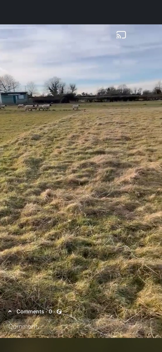 BromyardCC's tweet photo. With our 3rd XI due to kick off their 2026 campaign today, we thought it would be a good time to highlight the transformation that their new home Upper Sapey has undergone. A little over a year ago this ground was a sheep field, the square had all but disappeared and there was at https://t.co/CcWUGoQTOa