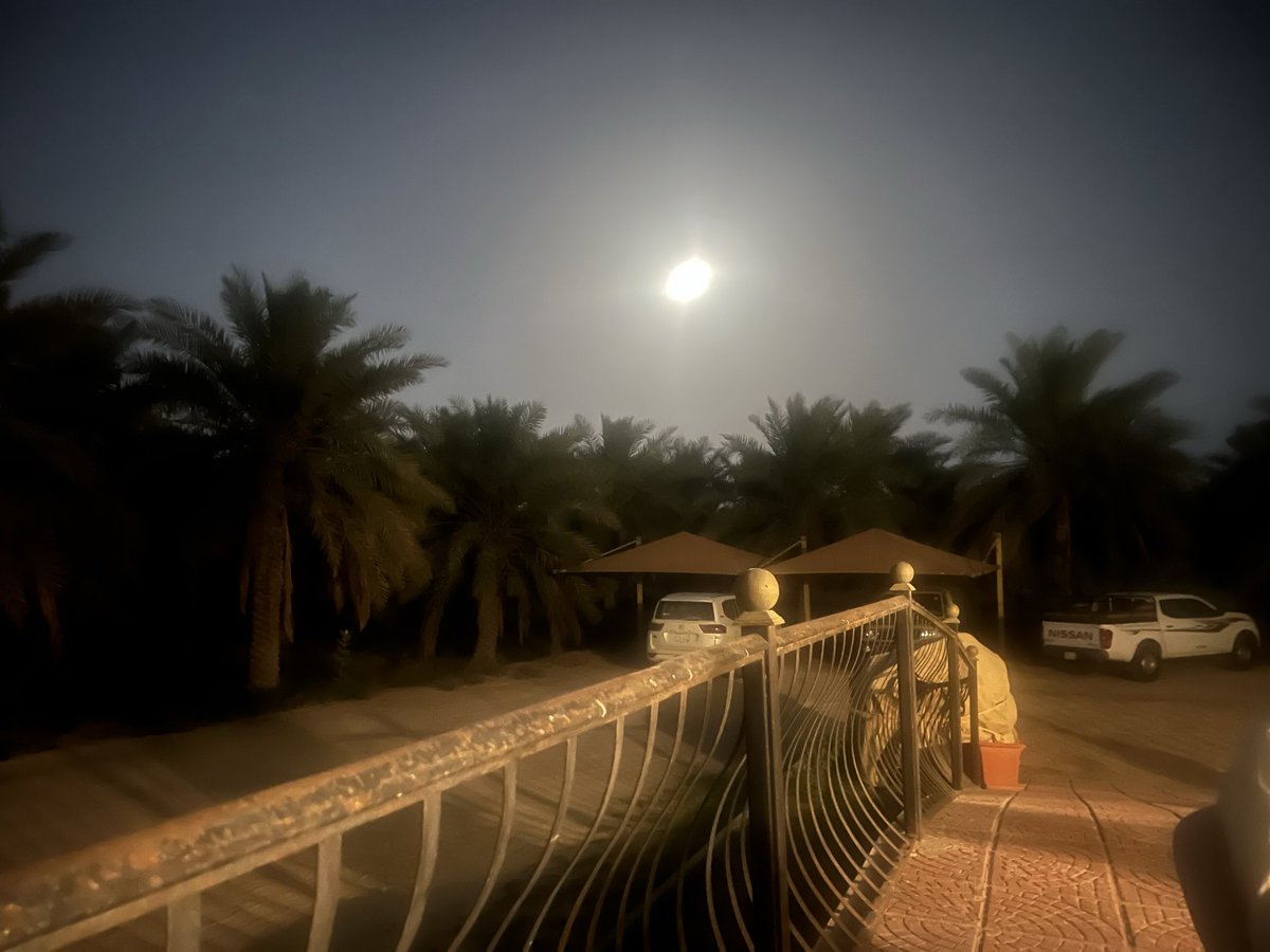 د. محمد إياد العكاري شاعر وأديب tweet media